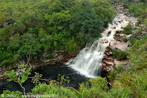 Brown waterfall rushing over red rocks amid lush green vegetation