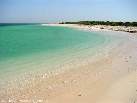 Dahlak, beach