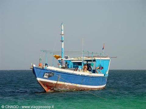 felucca