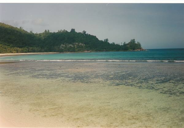 coral reef a few metres from the shoreline 