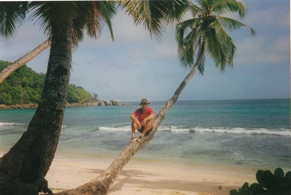 Man in red shirt and hat sitting on a leaning palm trunk over the beach