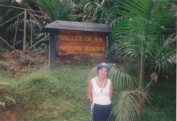 Mahé, the Vallée de Mai nature reserve