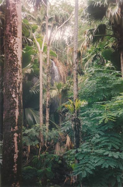 little waterfall in the Vallée de Mai