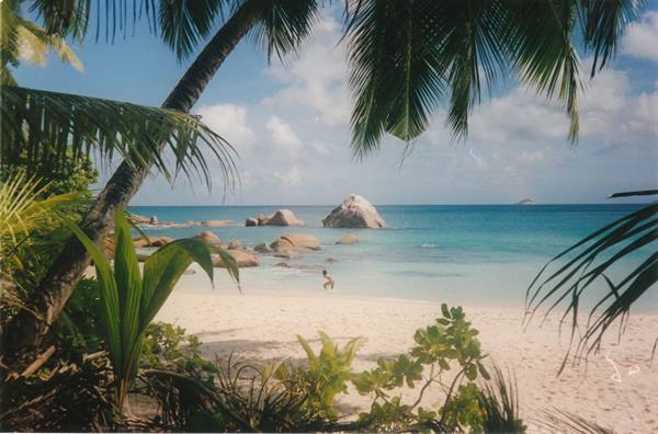 glimpse of Anse Lazio