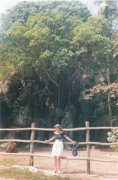 Woman leaning on a wooden fence in front of a large banyan tree