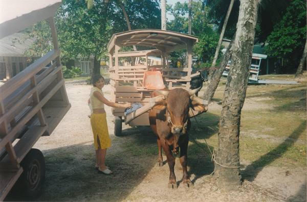 public transport in La Digue