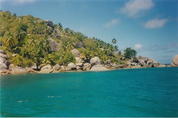 Rocky coast with palm trees and turquoise water, Seychelles