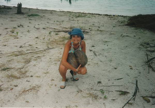 the coco de mer, symbol of the Seychelles