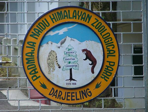 the zoo of Darjeeling