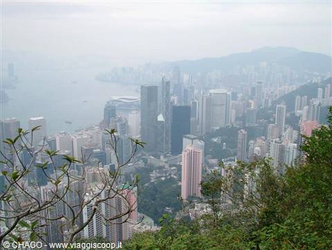 Hong Kong skyscrapers wrapped in haze seen from Victoria Peak among trees