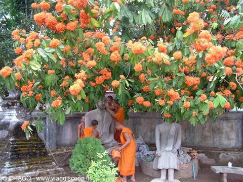 Buddhist monks