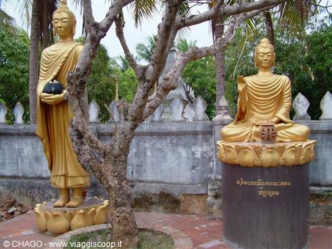 statues of the Buddha