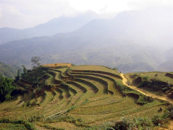 Vietnam, the rice fields of Sapa