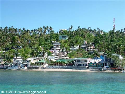 houses among palm trees on the beach by turquoise sea