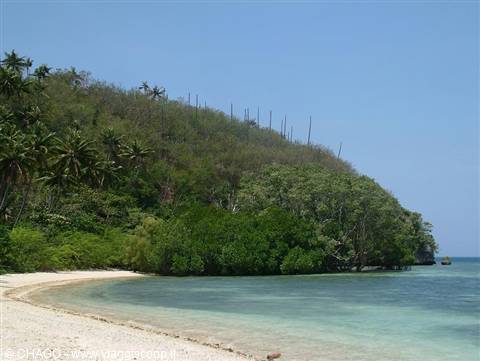 Pale sand beach with palms and green hill, turquoise water under blue sky