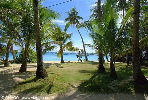the beach of Angol Point