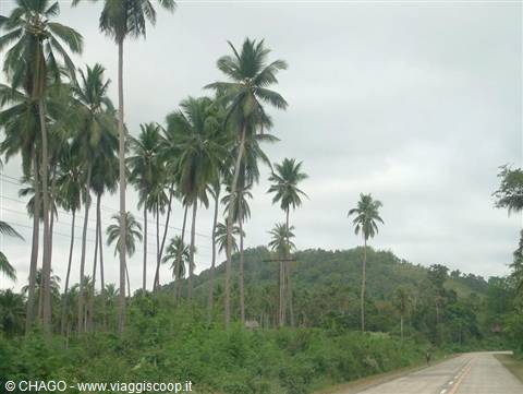 Palawan, road to El Nido