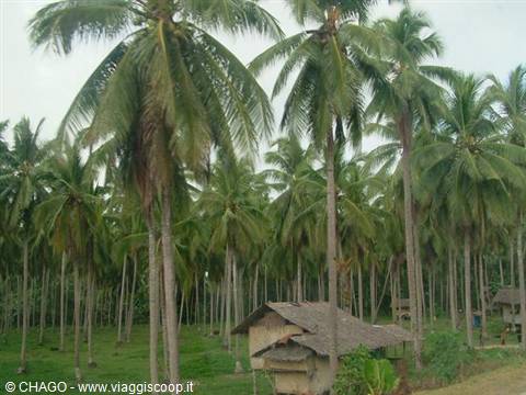Palawan, village