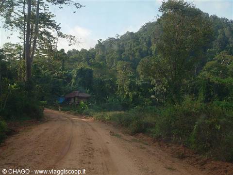 road to El Nido, the asphalt ends