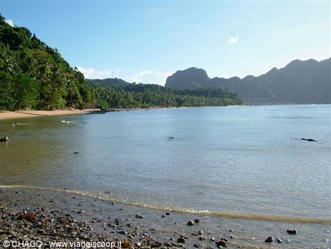 Sandy pebble beach, palm trees and limestone karst mountains at El Nido