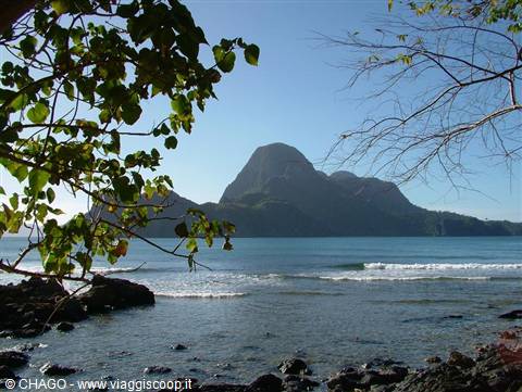Leafy branches frame the sea and a rocky island at El Nido, Palawan