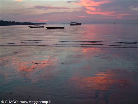 Wooden boats resting on the shore under a pink and violet sky