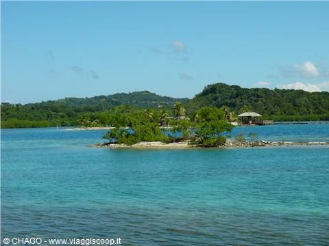 the sea of Roatán