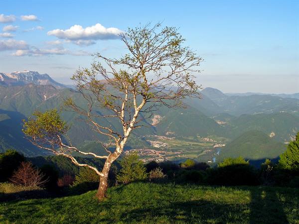 view