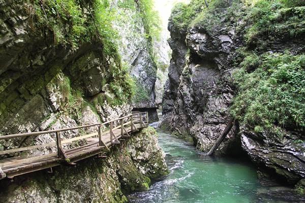the Vintgar gorges