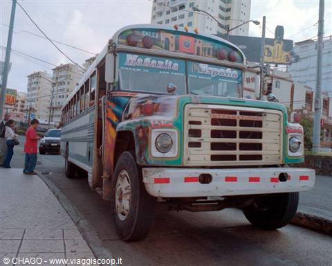 the Panama city buses
