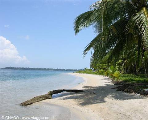 Bocas, playa de las estrellas