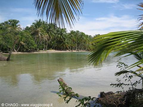 Bocas, playa del drago