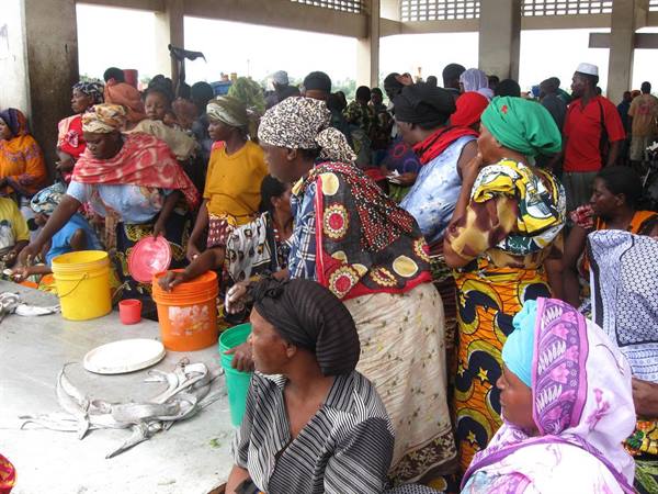 Women in colorful headscarves selling fish at covered market, plastic buckets on tables
