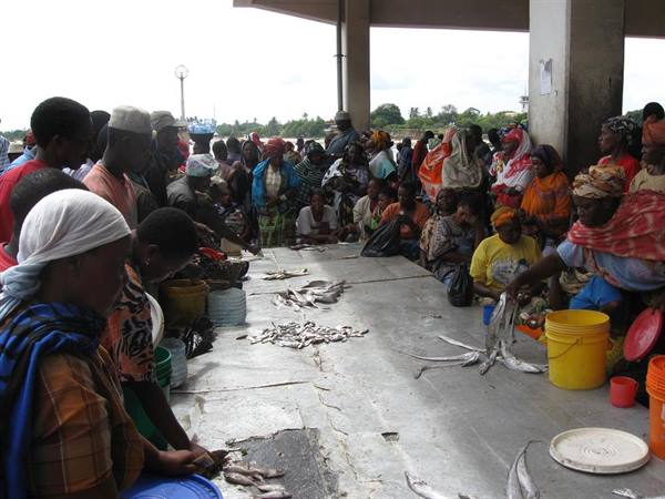 Open-air fish market, women with buckets selling fish on concrete, crowd sitting under a roof
