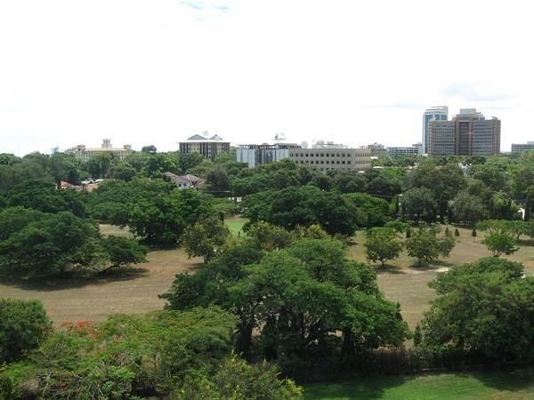 Green trees in the park, skyscrapers in the background, cloudy city sky