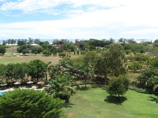 Tropical gardens with palms and pool, ocean visible beyond the trees