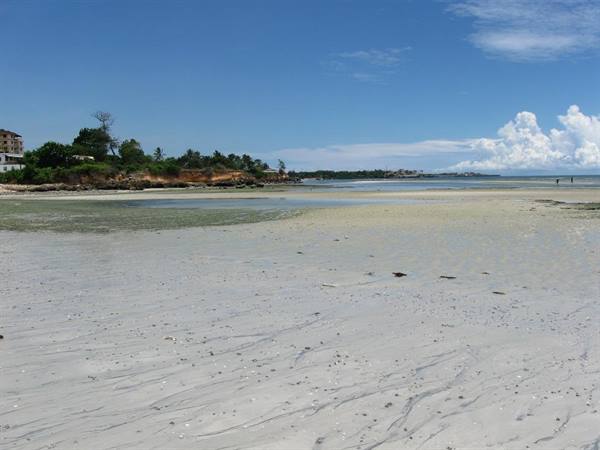 White sand beach at low tide, palm trees and hotels along the coast