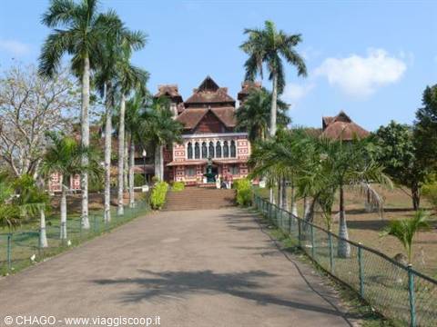 Napier museum