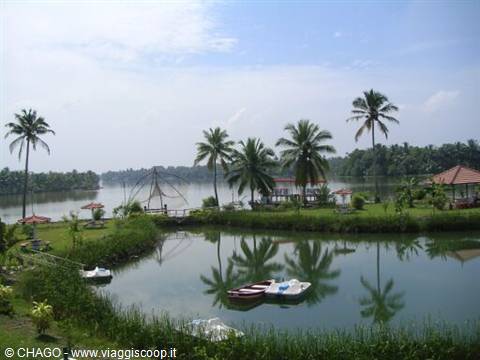 Boats moored on green lagoon, palm trees and Chinese fishing nets, Kerala