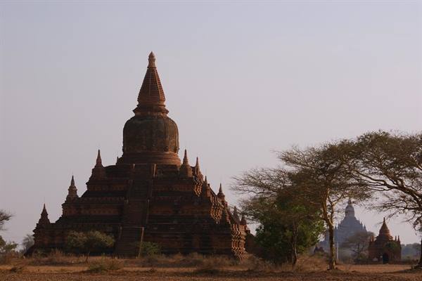 Brick temple in Bagan with golden spire among bare trees in haze