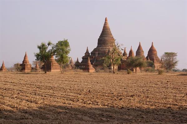 Bagan brick temples among trees and plowed field under hazy light
