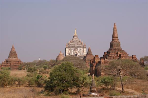 Ancient brick and stone temples rise among small trees in Bagan