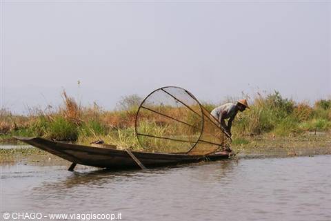 Fisherman with conical net on wooden boat among reeds, Inle Lake
