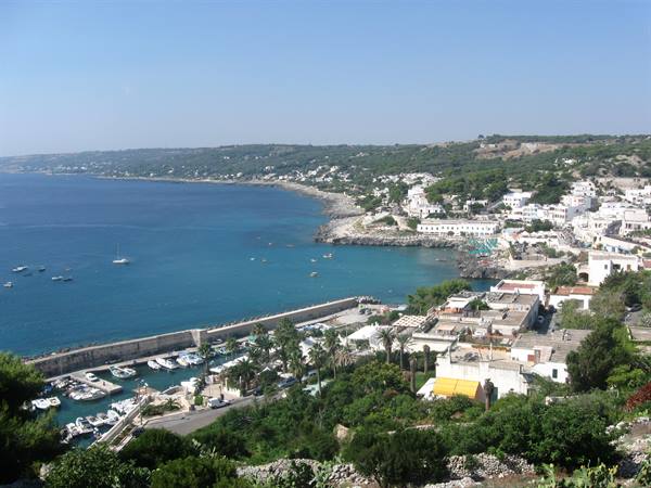 Marina with boats among white houses and greenery, Castro seaside village