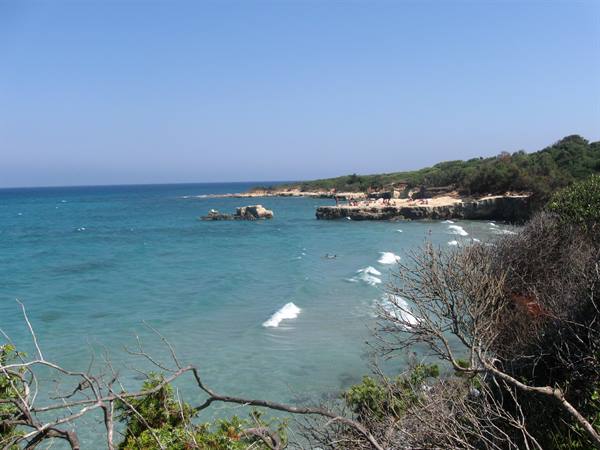 Sant' Andrea
