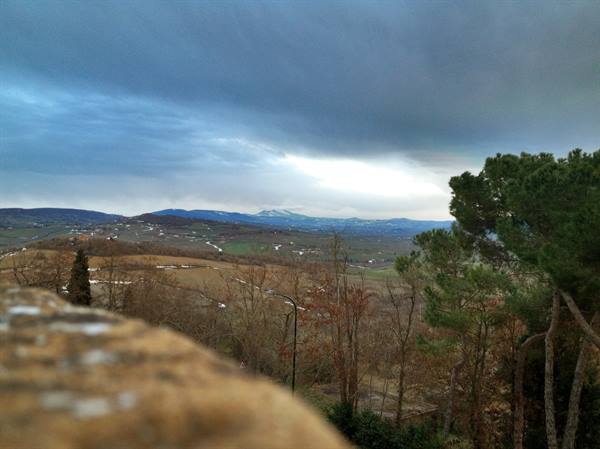 Storm clouds over farmed hills, pine tree and stone wall in the foreground