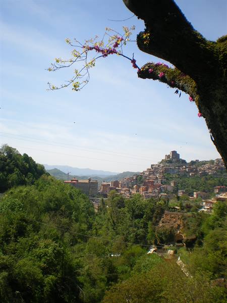 Subiaco