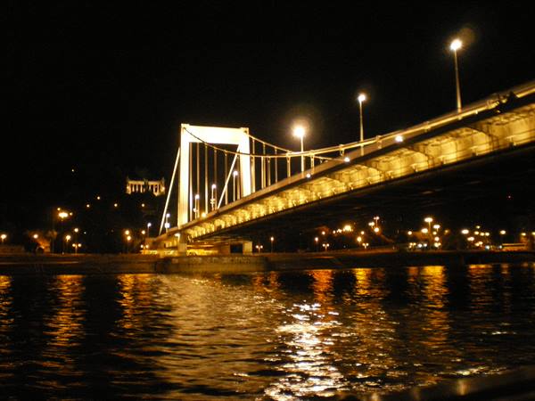 Elisabeth bridge at night
