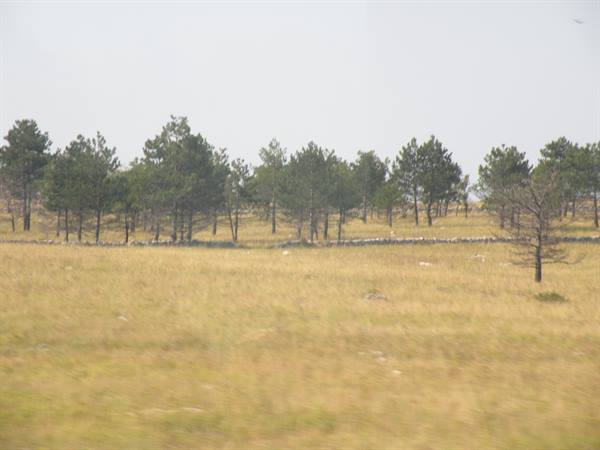 the Karst: some perimeter walls, a reminder of the first world war