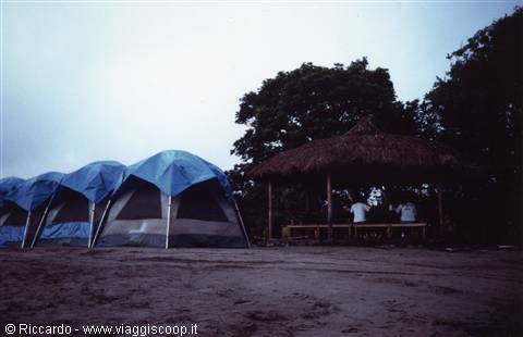 Camp